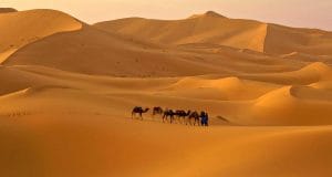 Подробнее о статье Песок на земле может исчезнуть – ученые