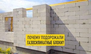 Подробнее о статье В Беларуси резко подорожали газосиликатные блоки