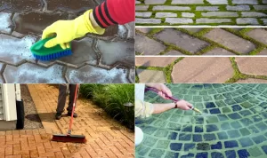 Подробнее о статье Как быстро очистить тротуарную плитку от загрязнений