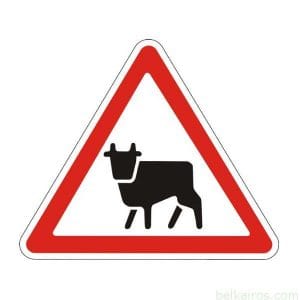 1.24 – “Перегон скота”