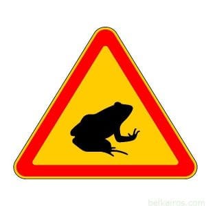 1.35 Сезонные миграции земноводных